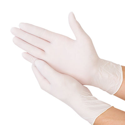 No Odor Disposable Medical Latex Gloves , Latex Non Powdered Disposable Gloves