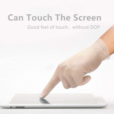 Dust Free Disposable Medical PVC Gloves , Latex Free Powder Free Vinyl Gloves