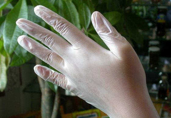 PVC Powder Free Disposable Vinyl Gloves For Foodservice