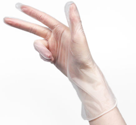 Transparent Non Slip Dental Disposable Vinyl Hand Gloves
