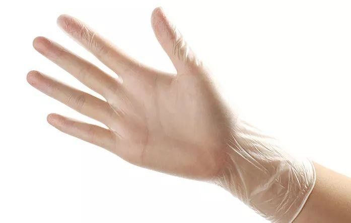 PVC Powder Free Disposable Vinyl Gloves For Foodservice